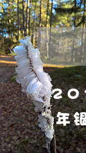 2021年信用卡逾期总额有多少(2020年银行信用卡逾期总额)