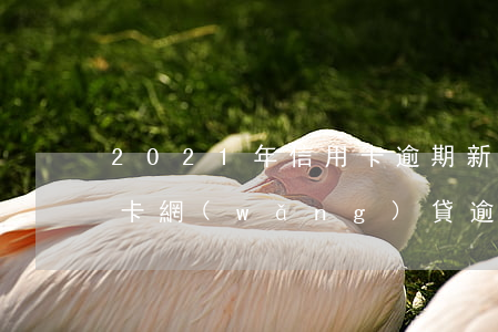 2021年信用卡逾期新政策（2021信用卡網(wǎng)貸逾期一年）