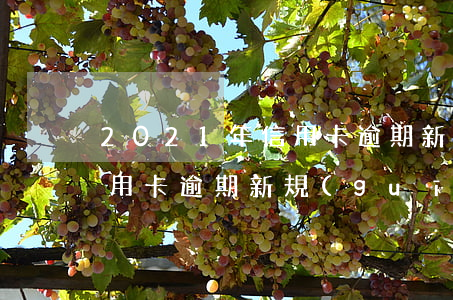 2021年信用卡逾期新政策(2022年信用卡逾期新規(guī)定)