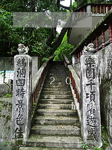 2021年信用卡逾期新政策（信用卡逾期總額 最新）