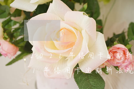 2021年信用卡逾期新法规夫妻-2021年信用卡逾期新法规夫妻能贷款吗
