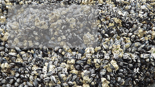 2021年信用卡逾期會坐牢嗎（信用卡逾期之后的現(xiàn)狀）