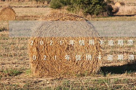 2021年信用卡逾期滯納金和違約金-2021年信用卡逾期滯納金和違約金是多少