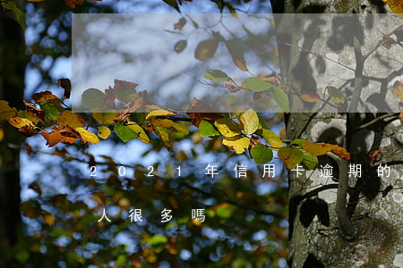 2021年信用卡逾期的人（欠信用卡逾期的人很多嗎）