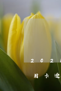 2021年信用卡逾期的多吗(2021年信用卡逾期的人多吗)