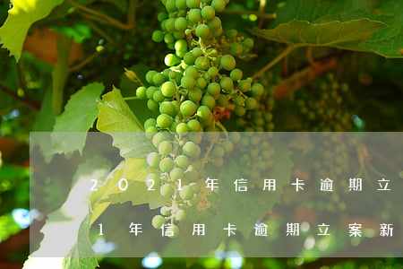 2021年信用卡逾期立案新标准-2021年信用卡逾期立案新标准是什么