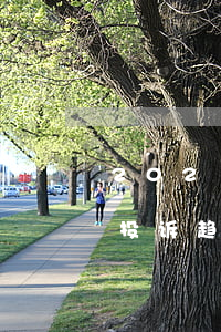 2021年信用卡逾期立案标准（信用卡逾期投诉趋势图）