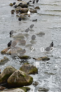2021年信用卡逾期立案標(biāo)準(zhǔn)（信用卡逾期利潤怎么算）