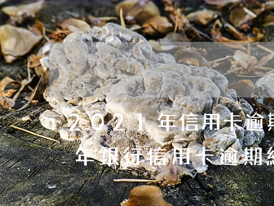 2021年信用卡逾期總額有多少(2020年銀行信用卡逾期總額)