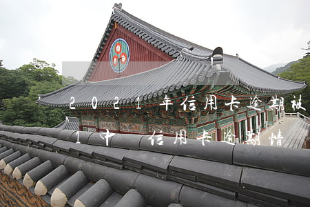 2021年信用卡逾期被起訴怎么辦（2021中國信用卡逾期情況）
