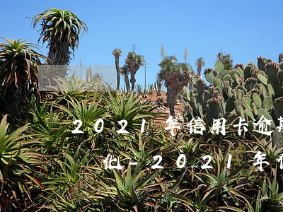 2021年信用卡逾期規(guī)則三大變化-2021年信用卡逾期最新規(guī)定