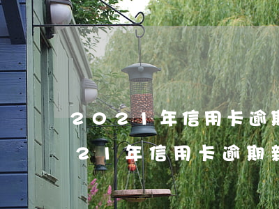 2021年信用卡逾期規(guī)模(2021年信用卡逾期新法)