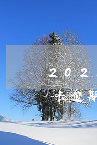 2021年信用卡逾期规定 2021年信用卡逾期几天
