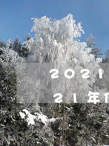 2021年信用卡逾期記錄保存多久-2021年信用卡逾期記錄保存多久了