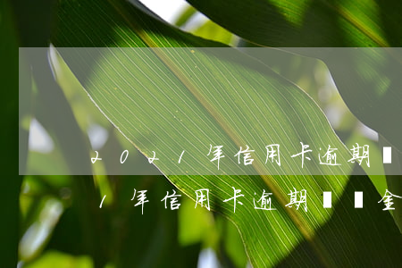 2021年信用卡逾期違約金標準-2021年信用卡逾期違約金標準是多少