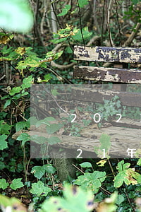 2021年借唄逾期新法規(guī)(2021年借唄莫名其妙被關(guān)閉)