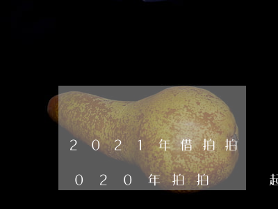 2021年借拍拍貸會為了五千塊起訴嗎(2020年拍拍貸會起訴嗎)