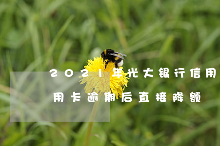 2021年光大银行信用卡降额（光大银行信用卡逾期后直接降额）