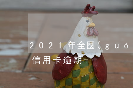 2021年全國(guó)兩會(huì)信用卡逾期-