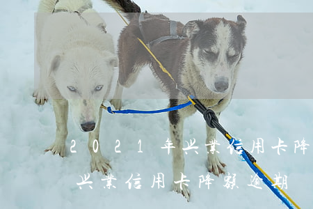 2021年兴业信用卡降额逾期(2021年兴业信用卡降额逾期)