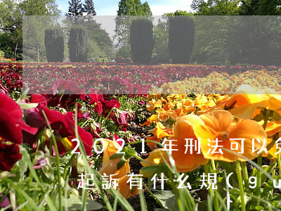 2021年刑法可以免于起訴嗎(2021年起訴有什么規(guī)定)