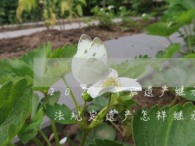 2021年后遗产继承方案(2021年继承法规定遗产怎样继承)