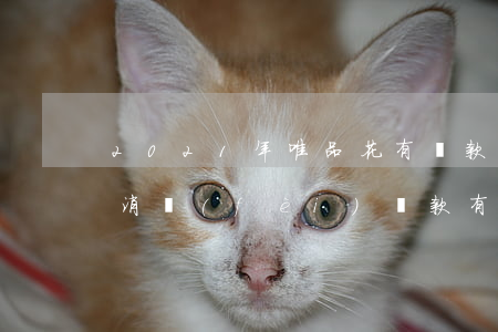 2021年唯品花有還款寬限期嗎-唯品花消費(fèi)還款有寬限期嗎?