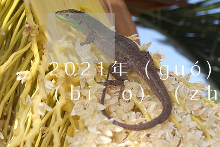2021年國(guó)家刑事案件賠償標(biāo)準(zhǔn)(2020年國(guó)家刑事賠償標(biāo)準(zhǔn))