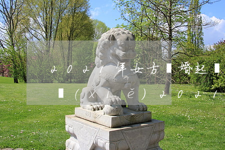2021年女方離婚起訴書(shū)怎么寫(xiě)(2021年離婚法協(xié)議怎么寫(xiě))