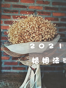 2021年婚姻法对小三怎么处理(2021婚姻法律新规小三)