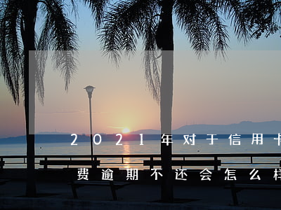2021年对于信用卡逾期的处理（信用卡消费逾期不还会怎么样）