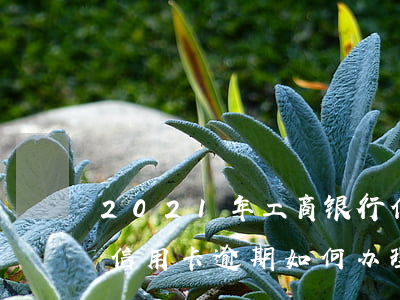 2021年工商银行信用卡逾期新政策（工行信用卡逾期如何办理分期）