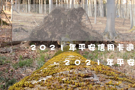 2021年平安信用卡逾期會(huì)上門嗎-2021年平安信用卡逾期會(huì)上門嗎知乎