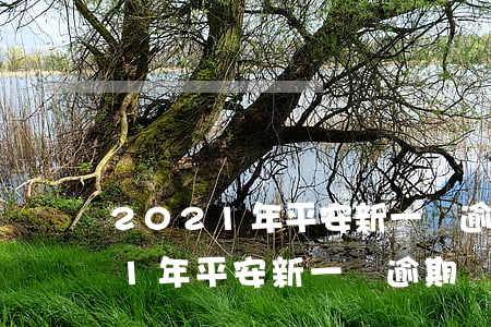 2021年平安新一貸逾期違約金-2021年平安新一貸逾期違約金是多少