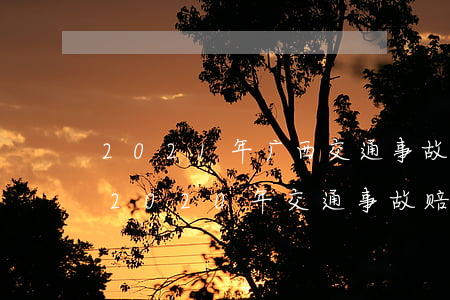 2021年广西交通事故赔偿标准(最新)(广西2020年交通事故赔偿标准(最新)文件) 2021年广西交通事故赔偿标准(最新)(广西2020年交通事故赔偿标准(最新)文件)