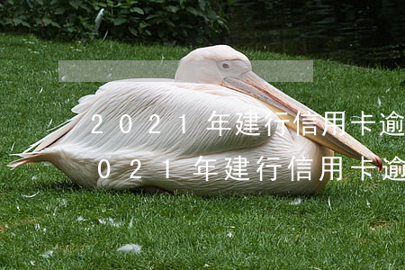 2021年建行信用卡逾期可以减免吗-2021年建行信用卡逾期可以减免吗知乎