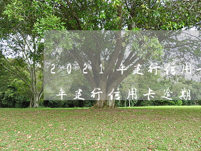 2021年建行信用卡逾期新政策，2021年建行信用卡逾期還款新政策解讀