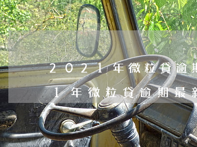 2021年微粒貸逾期最新消息了-2021年微粒貸逾期最新消息了嗎
