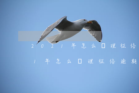 2021年怎么處理征信逾期記錄-2021年怎么處理征信逾期記錄呢