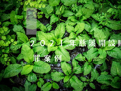 2021年慈溪開設賭場罪案(浙江開設賭場罪案例)