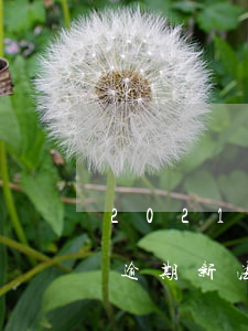 2021年房贷逾期被起诉(2021年房贷逾期新法规)