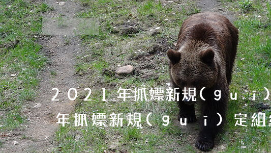 2021年抓嫖新規(guī)定(2021年抓嫖新規(guī)定組織)