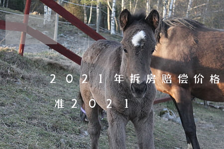 2021年拆房赔偿价格表(拆房怎么赔偿标准2021)