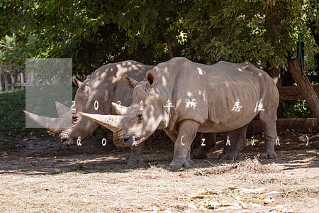 2021年拆遷房屋補(bǔ)償標(biāo)準(zhǔn)(2021年拆遷房屋補(bǔ)償標(biāo)準(zhǔn))
