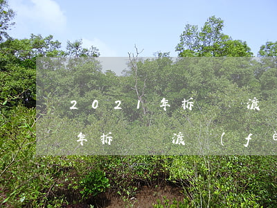 2021年拆遷過渡費(fèi)(2021年拆遷過渡費(fèi)怎么算)