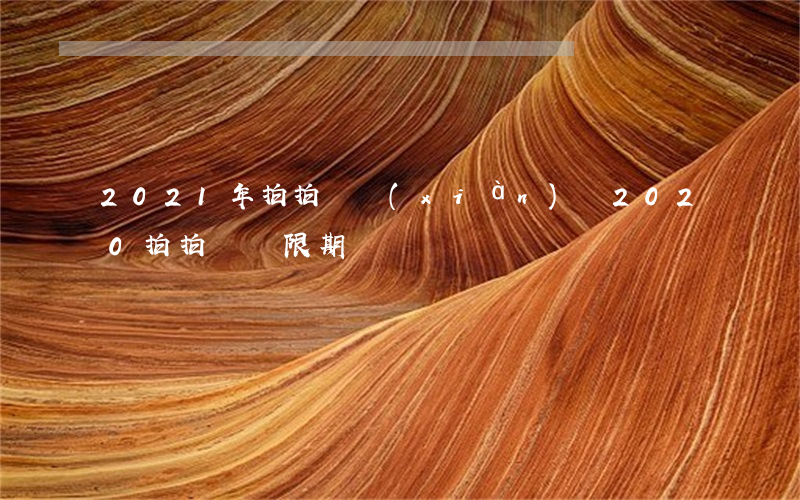 2021年拍拍貸現(xiàn)狀(2020拍拍貸寬限期)