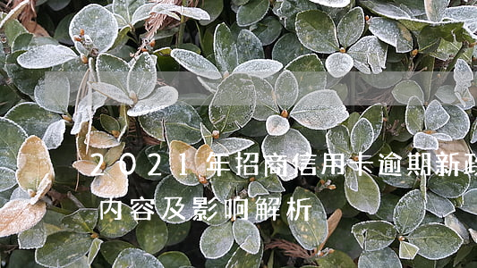 2021年招商信用卡逾期新政策出炉：具体内容及影响解析
