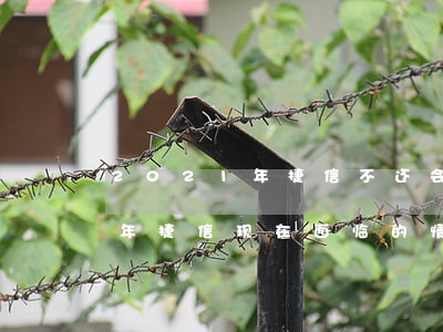 2021年捷信不还会有什么后果(2020年捷信现在面临的情况)