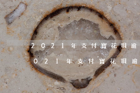 2021年支付寶花唄逾期多久上征信-2021年支付寶花唄逾期多久上征信啊