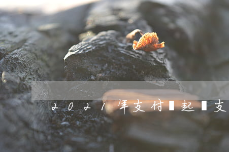 2021年支付寶起訴（支付寶已起訴吐槽鬼）
